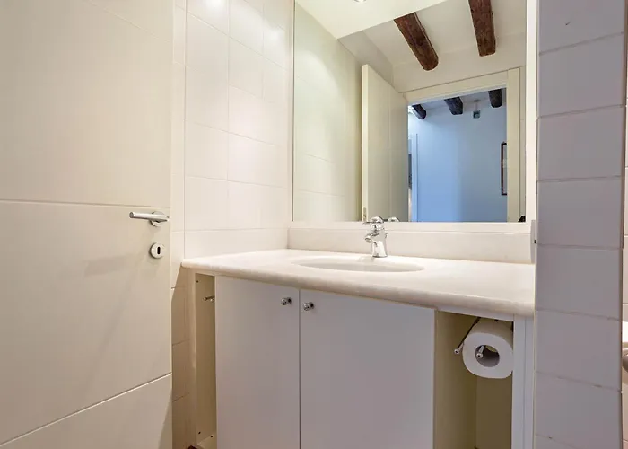 Vip And Rialto Bridge